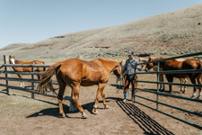 USA-Montana-Battle Creek Ranch